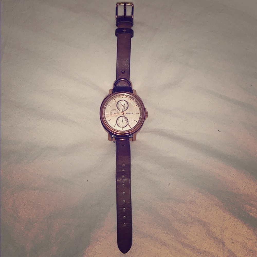 Fossil Watch!